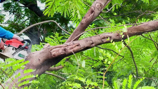 A man uses a sharp handsaw to manually cut a thick tree branch in a backyard garden during the day.