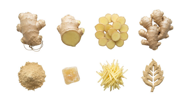 Fresh ginger root, slices, powder, and candied ginger isolated on transparent background