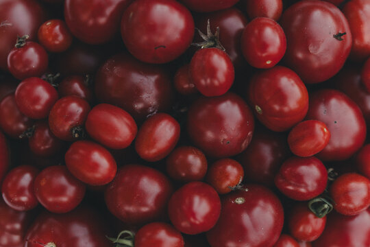 View of a collection of fresh, ripe red tomatoes of various sizes arranged closely together in Laane County, Estonia.
