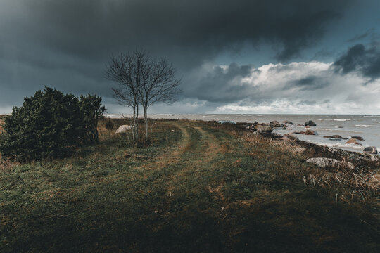 View of Vormsi island coastline with a grassy path leading towards the rocky shore under a dramatic stormy sky in Laane County, Estonia.