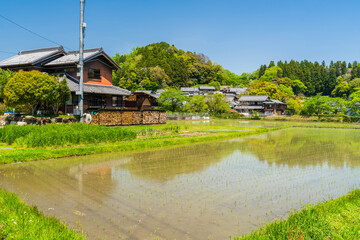 京都の田園に広がる日本家屋と水田の春の風景  © JAPAN SKYLINE