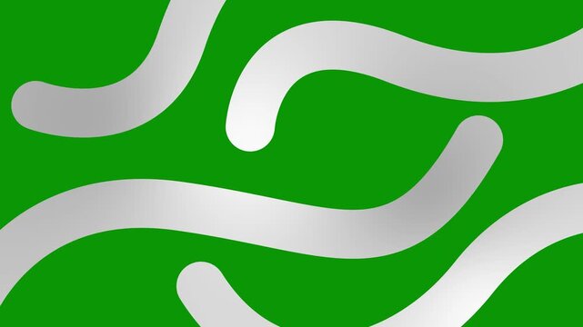 Animated silver decorative wavy lines is drawn. Linear background. Looped video. Vector illustration isolated on green background.