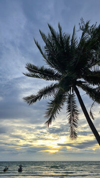 View of a palm tree silhouette against a dramatic sunset sky over the ocean with small boats in Ko Tao, Surat Thani, Thailand.