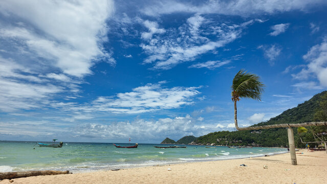 View of Ko Tao beach with traditional long-tail boats on turquoise water under a bright blue sky, featuring a leaning palm tree on the sandy shore in Ko Tao, Surat Thani, Thailand.
