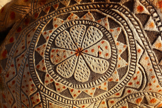 View of intricate geometric patterns shaved into the fur of a camel at Chanan Pir in Yazman, Punjab, Pakistan.