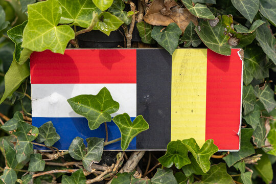 View of a sign displaying the national flags of the Netherlands and Belgium nestled among lush green ivy leaves in Baarle-Nassau, North Brabant, Netherlands.