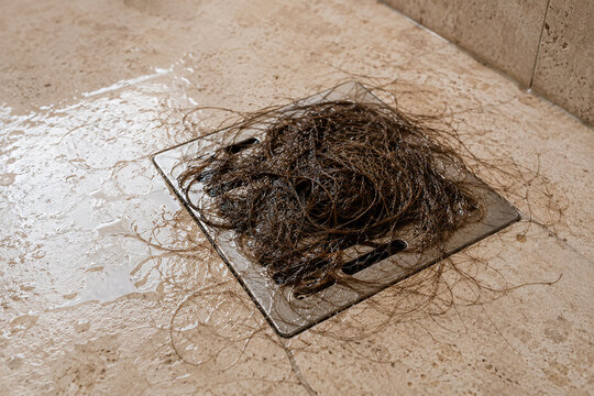 Hair Clog Blocking Shower Drain Caused by Excessive Hair Shedding