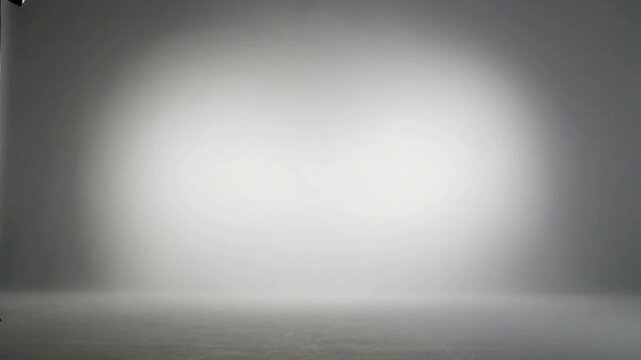 Empty studio background, with soft spotlight, versatile backdrop white, grey
