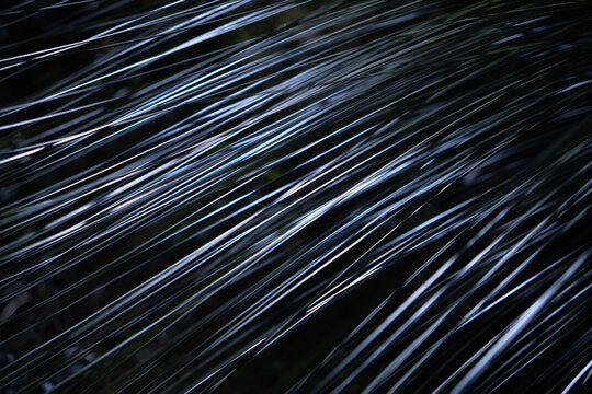 View of long, thin, dark green grass blades with sharp highlights, creating a rhythmic linear pattern in Dee Why, New South Wales, Australia.