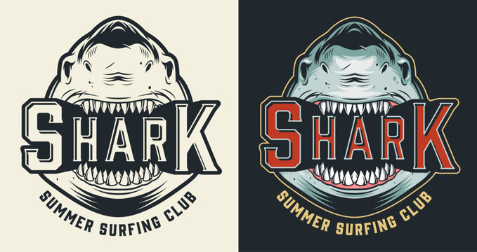 Shark summer surfing club logo