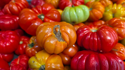 Close-up of a slightly spoiled orange heirloom tomato, showing natural blemishes, ripening decline, organic produce texture, food freshness loss and imperfect harvest concept. © Suardi Tan