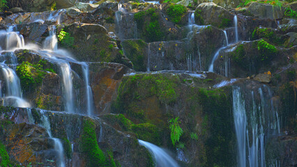 The stream water flowing in cascade over rocks covered in moss and the occasional fern.  © Delfim Sa Neiva