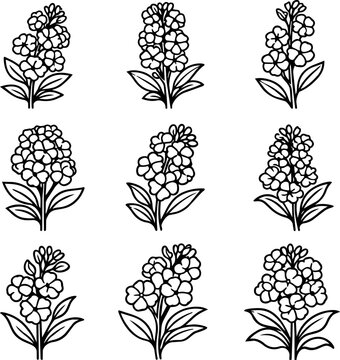 Nine hydrangea flower sprigs with leaves in black outline line art