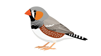 Obraz premium Illustration of a male zebra finch bird isolated on transparent background