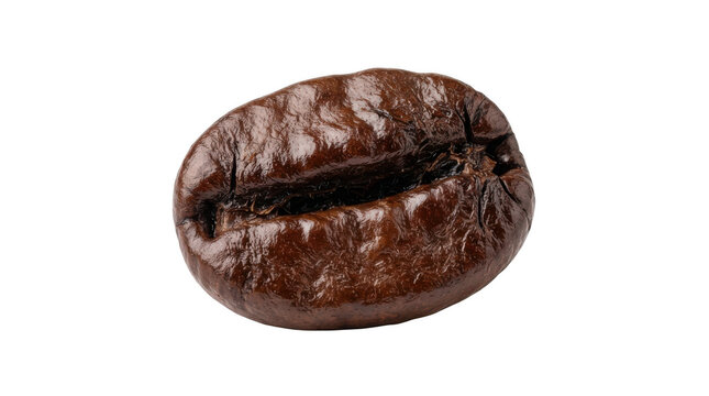 Single roasted coffee bean isolated on transparent background