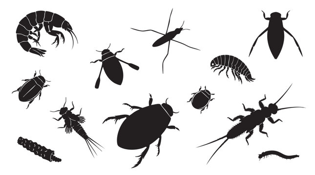 Aquatic insect and arthropod silhouettes vector collection.