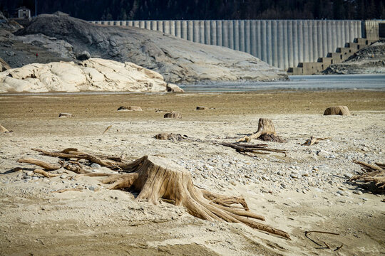 View of the dried-up lake bed at Ceresole Reale dam with exposed tree stumps and rocky terrain during a drought in Ceresole Reale, Piedmont, Italy.