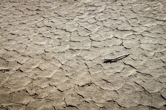 View of the cracked and parched earth of a dried-up lake bed in Ceresole Reale, Piedmont, Italy.