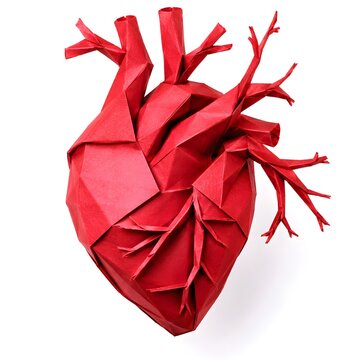 Paper Origami Heart with Folded Arteries Isolated on White Background