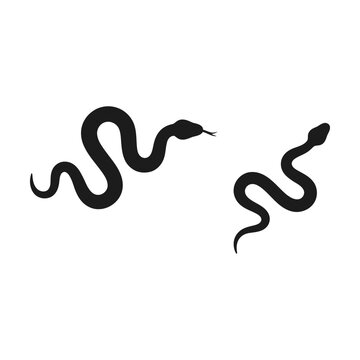 Two simple black snake silhouettes in a winding crawling motion on a clean flat surface Vector