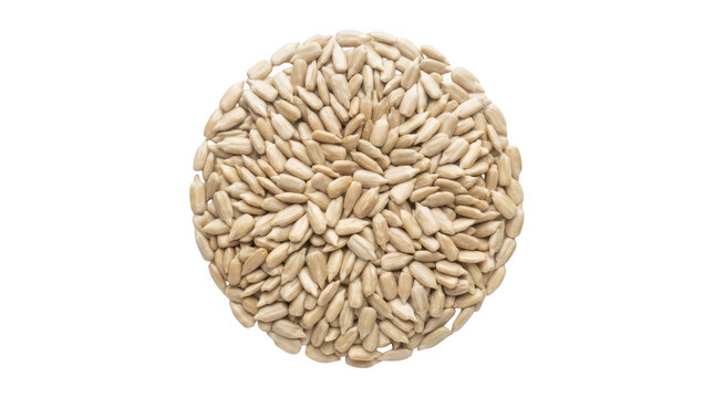Top view of shelled sunflower seeds arranged in a circle isolated on transparent background