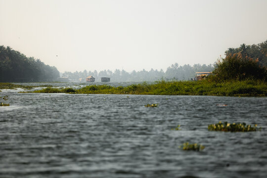 View of a traditional houseboat cruising through the calm backwaters surrounded by lush palm trees and aquatic vegetation in Kochi, Kerala, India.