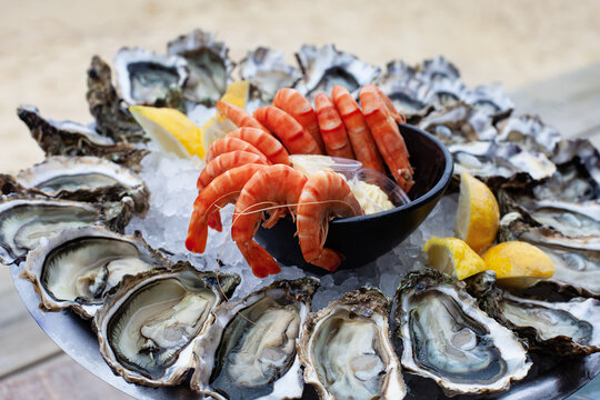 Seafood, crushed ice, and mayonnaise