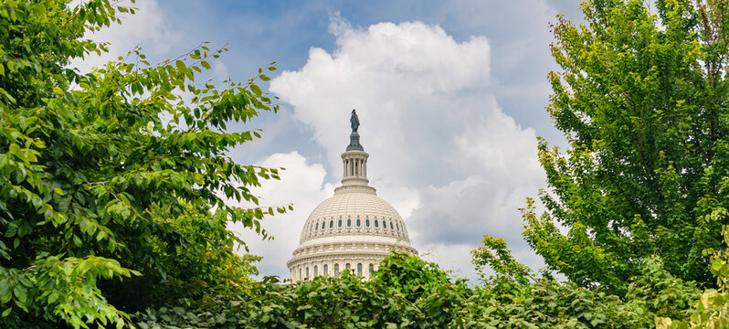 United States Capitol Dome Emerging Beyond Dense Summer Trees in Washington DC Travel Photography Composition