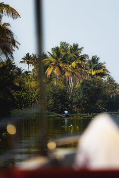 View of a person rowing a small wooden boat through the lush tropical backwaters, surrounded by dense palm trees and calm water in Kochi, Kerala, India.