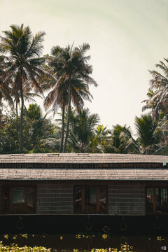 View of a traditional houseboat floating on the calm waters of the Kerala Backwaters surrounded by lush palm trees in Kochi, Kerala, India.