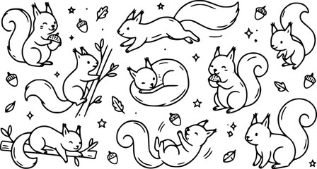 Set of cute little squirrel characters in various poses hand drawn doodle style with acorns and leaves for forest animal design collection © Arun