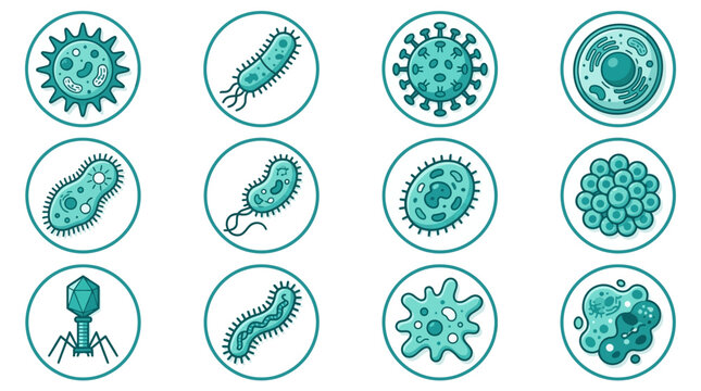 Sleek Collection of 12 Stylish Medical Illustrations Showcasing Viruses Bacteria Fungi and Microorganisms in Teal and White