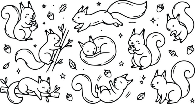 Set of cute little squirrel characters in various poses hand drawn doodle style with acorns and leaves for forest animal design collection