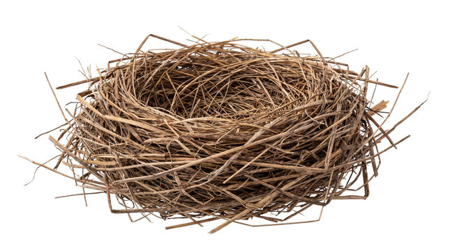 Empty natural bird nest carefully constructed from dried grass straw and fragile woven twigs