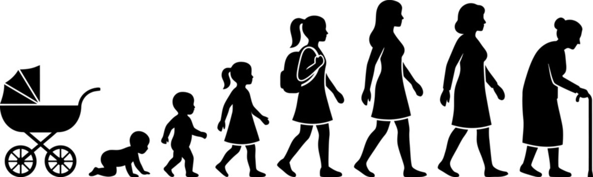 Female life cycle evolution silhouette showing human aging process from baby to senior woman vector