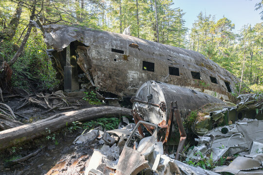 Bomber airplane wreck lying in a lush green mossy temperate forest