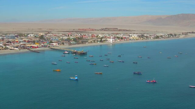 Video mejillones #03