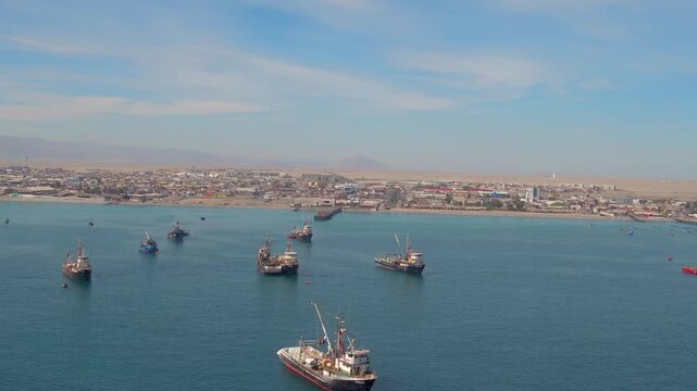 Video mejillones #06