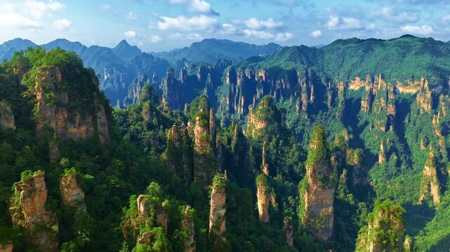 Towering sandstone pillars covered in green vegetation at Zhangjiajie National Forest Park, Hunan, China.