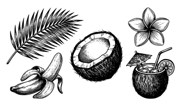 Vintage hand drawn tropical vector set featuring engraved palm leaves plumeria and coconut cocktail icons