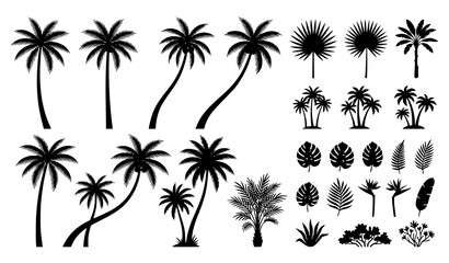 Fototapeta premium Tropical Palm Tree and Plant Silhouette Collection with Cactus Bushes Leaves and Nature Elements