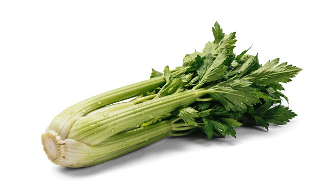Fresh green celery stalk bunch with vegetable nutrition ingredient culinary vegetarian agriculture prepared foodstuff delicious nutritious wholesome as isolated object