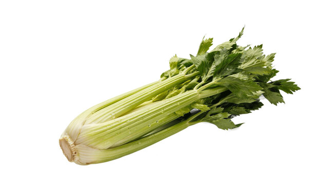 Fresh whole stalk of green organic celery with vegetable ingredient nutrition vegetarian vitamins greenery culinary wellness refreshing background as PNG cutout