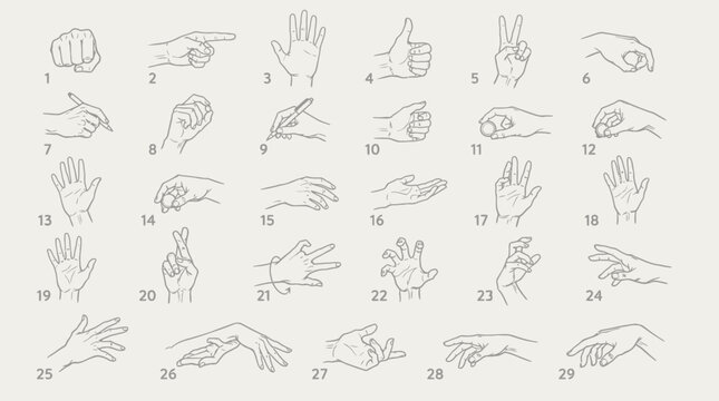 Collection of hands in various poses and gestures set
