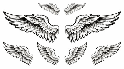 Obraz premium Detailed Hand Drawn Angel Wings Set — Black and White Feather Wing Collection for Tattoo