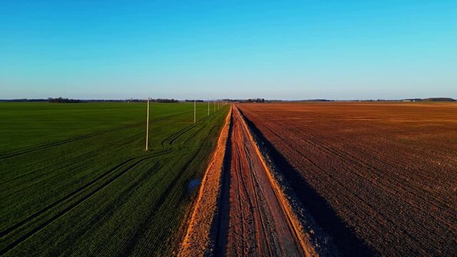 Aerial view of a dirt road separating a green agricultural field and a brown plowed field under a clear blue sky in Latvia.