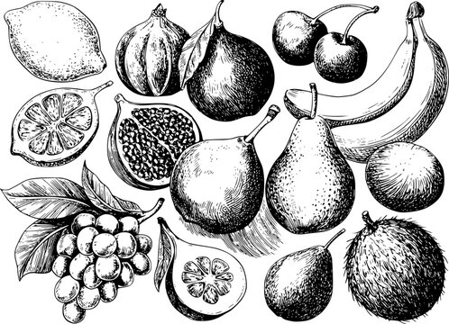 Una colecci&oacute;n de frutas estilo vintage dibujadas a mano incluyendo uvas, pl&aacute;tanos, peras, higos y cerezas en tinta negra