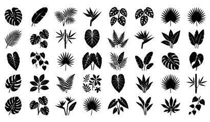 Black Tropical Leaf Silhouette Bundle with Exotic Jungle Plants and Botanical Branches Vector Collection © MD