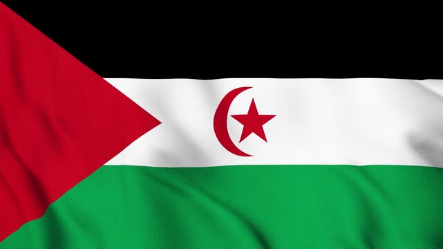 Western Sahara National Flag Waving in Wind with Realistic Fabric Texture, Seamless Loop Animation 4K