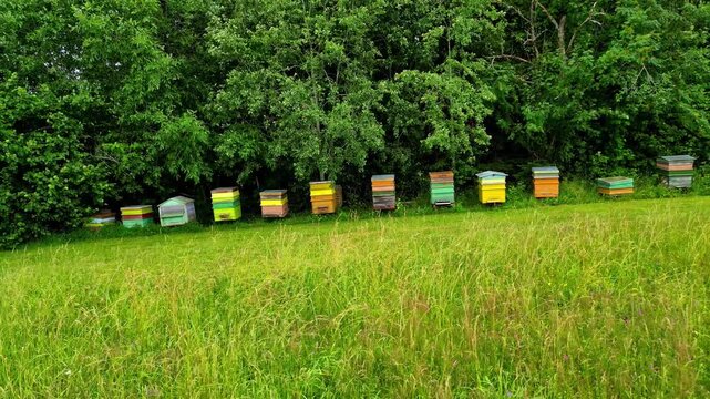 Aerial view of colorful wooden beehives arranged in a row on a lush green meadow at the edge of a dense forest in Latvia.